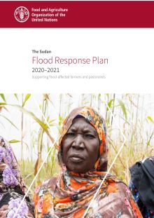 The Sudan | Flood Response Plan 2020–2021